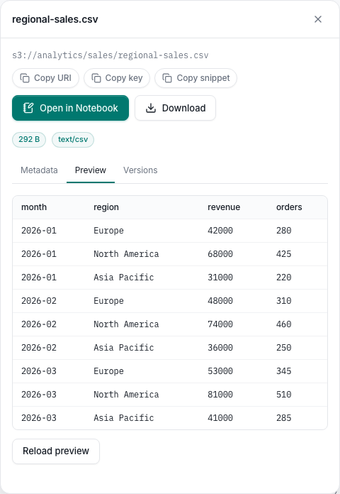 Object browser showing a CSV preview, metadata and versions tabs, and notebook and download actions